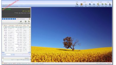 محیط اصلی برنامه چک نگار 2012